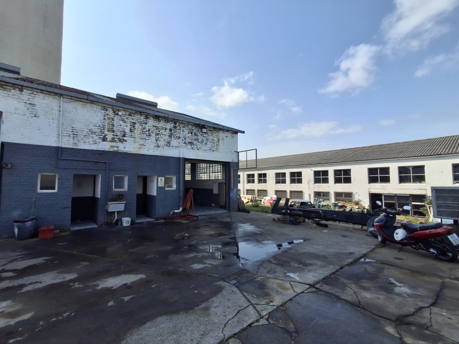 To Let Commercial Property for Rent in Arcadia Eastern Cape